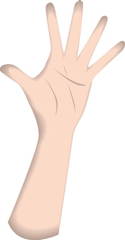 手のひら立体 手のひら,手相,指,腕,体,パーツ,立体のイラスト素材