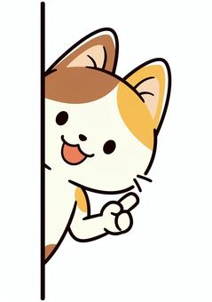 左からひょこっと出て説明する可愛い三毛猫 指差し,ポイント,説明,猫,ひょっこり,三毛猫,ゆるい,手描き,動物,可愛いのイラスト素材