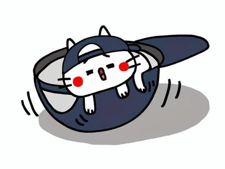 帽子で遊ぶ猫