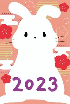 Cute rabbit and plum Japanese pattern New Year's card design, , JPG, PNG and AI