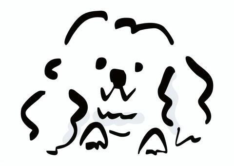 トイプードルの横顔　イラスト トイプードル,横顔,犬,かわいい,イラスト,手描き風,わんこ,ペット,動物,シンプルのイラスト素材