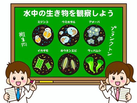 微生物とプランクトンの授業をする小学生 微生物,プランクトン,生物,動物,植物,ミジンコ,ウミホタル,アメーバ,イカダモ,ホウネンエビのイラスト素材