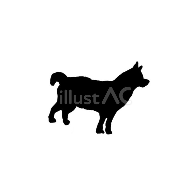 犬。。 犬,シルエット,動物のイラスト素材