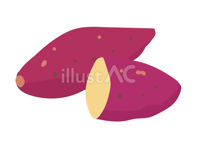 断面が見えてる手描きのさつま芋のイラスト さつまいも,芋,芋類のイラスト素材