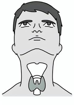 男性の甲状腺　白黒 男性,甲状腺,喉,正面,白黒のイラスト素材