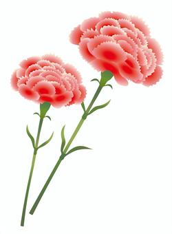 Carnation illustration 02, гвоздика, день матери, завод, JPG, PNG and AI