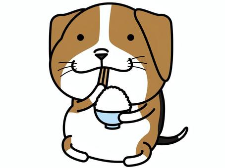 ビーグルさん ごはん ビーグルさん ごはん ご飯,ビーグル,食事,犬,小型犬,動物,キャラクター,米,茶碗,箸のイラスト素材
