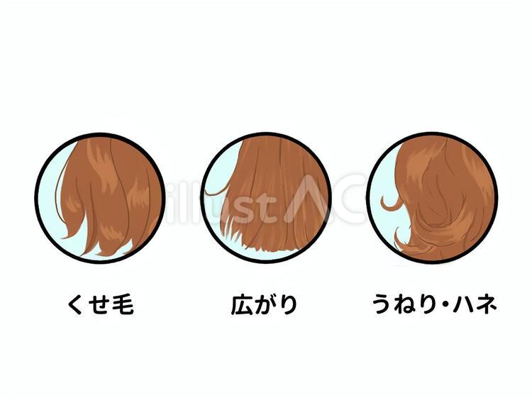 ダメージヘアの種類　ライトブラウン 髪,ダメージ,くせのイラスト素材