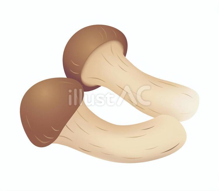マツタケのアイコン マツタケ,キノコ,菌類のイラスト素材