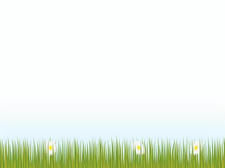 Prairie and flowers, JPG, PNG and AI Prairie and flowers, , JPG, PNG and AI