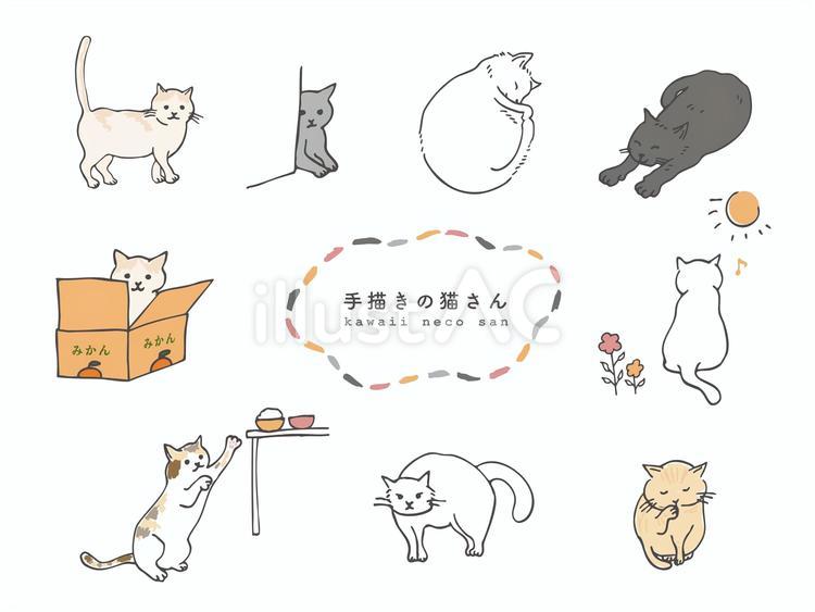 手描きの猫さん 猫,cat,手描きのイラスト素材