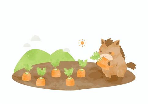 にんじん畑とかわいいウマのイラスト 馬,動物,にんじん,食べ物,野菜,かわいい,畑,土,収穫,山のイラスト素材