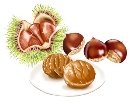 Illustration, marron glacé, castanha, outono, 