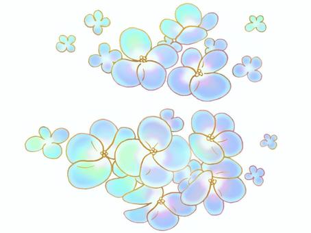 Translucent blue hydrangea material set (white background), Translucent blue hydrangea material set (white background), flower, hydrangea, summer,
