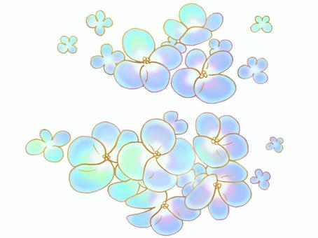 Translucent blue hydrangea material set (white background), flower, hydrangea, hydrangea, JPG and PNG