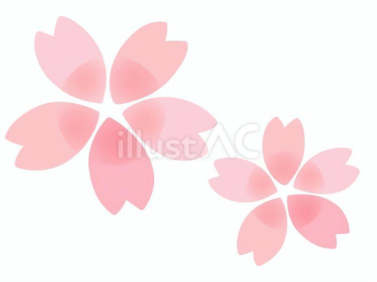 桜の花 桜,花,春のイラスト素材