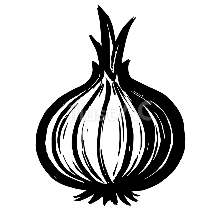 筆描きのタマネギ タマネギ,野菜,食べ物のイラスト素材
