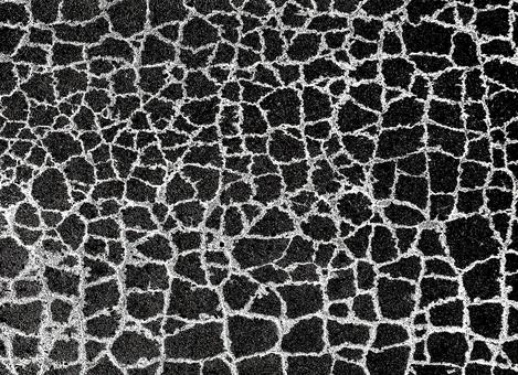 Road cracks (inverted), JPG, PNG 및 AI Road cracks (inverted), 背景, 紋理, 道路, JPG, PNG 및 AI