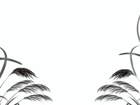 白黒のススキの素材 ススキ,すすき,秋,植物,和風,和,白黒,モノクロ,モダン,素材のイラスト素材