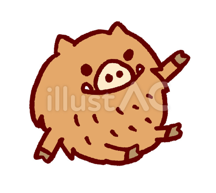 いのしし 猪,干支,2019のイラスト素材