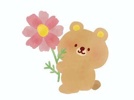 コスモスを持ったくま コスモス,くま,花,秋,動物,植物,絵本,ふんわり,可愛い,ゆるいのイラスト素材