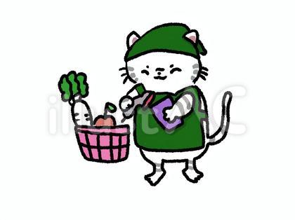 レジ猫さん