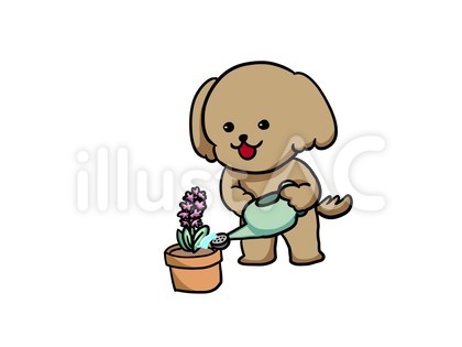 花に水やりする犬