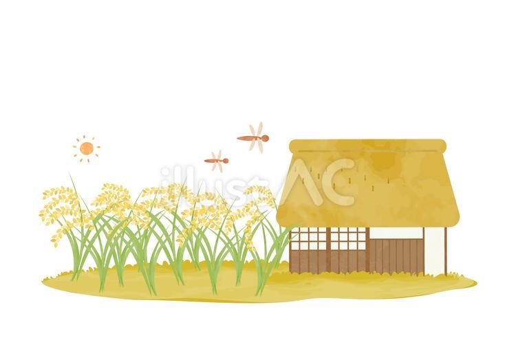 稲穂と古い民家の風景イラスト お米,秋,風景のイラスト素材
