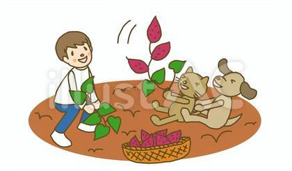 お芋でしりもち