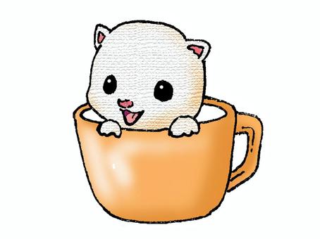 Cup cat, animal, cat, children, JPG and PNG