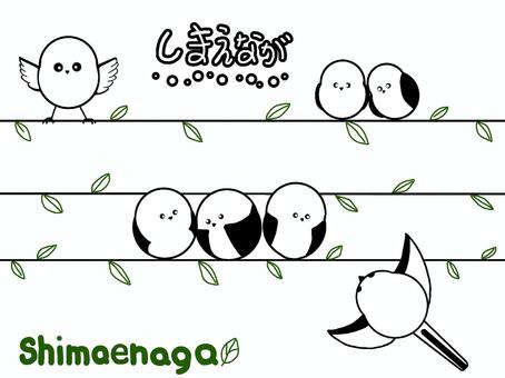 Illustration, shimaenaga, bird, birds, 