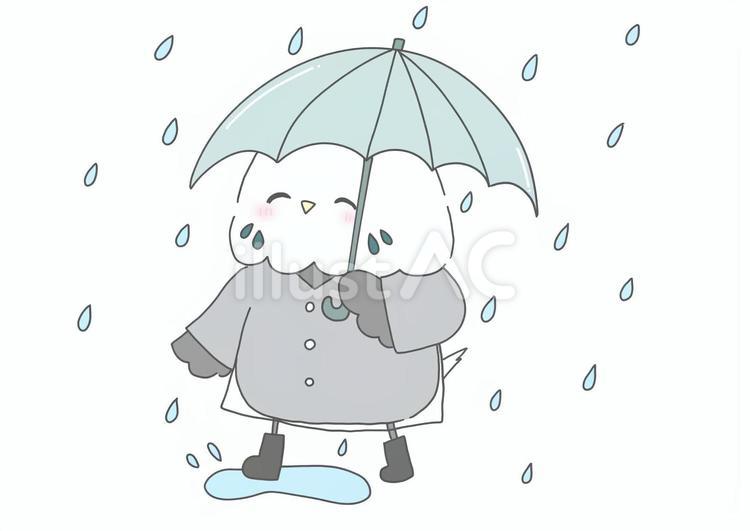 雨の日のセキセイインコ 雨,傘,長ぐつのイラスト素材