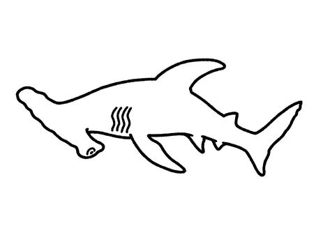 シュモクザメ シュモクザメ,鮫,海,水族館,生き物,塗り絵のイラスト素材