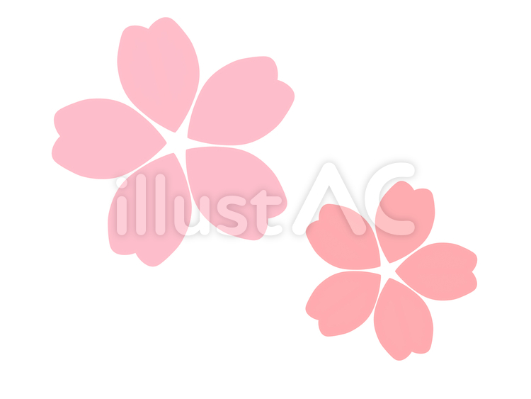 さくら 桜,桜色,花のイラスト素材