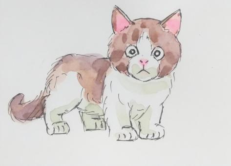 マンチカン マンチカン マンチカン,猫,短足種,小さい猫,好奇心旺盛のイラスト素材