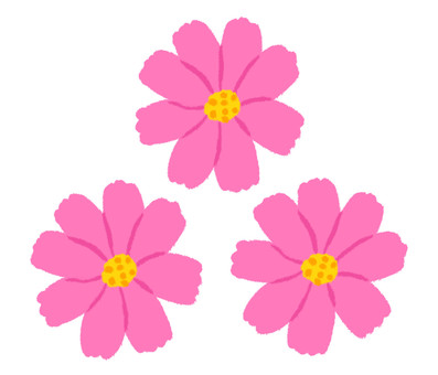 ピンクの可愛いコスモスの花が三つ コスモス,秋,花,植物,ピンク,3,三個,シンプル,ワンポイント,綺麗のイラスト素材