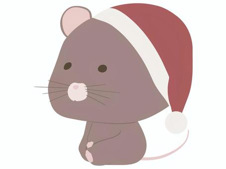 サンタ帽をかぶった茶色いねずみ