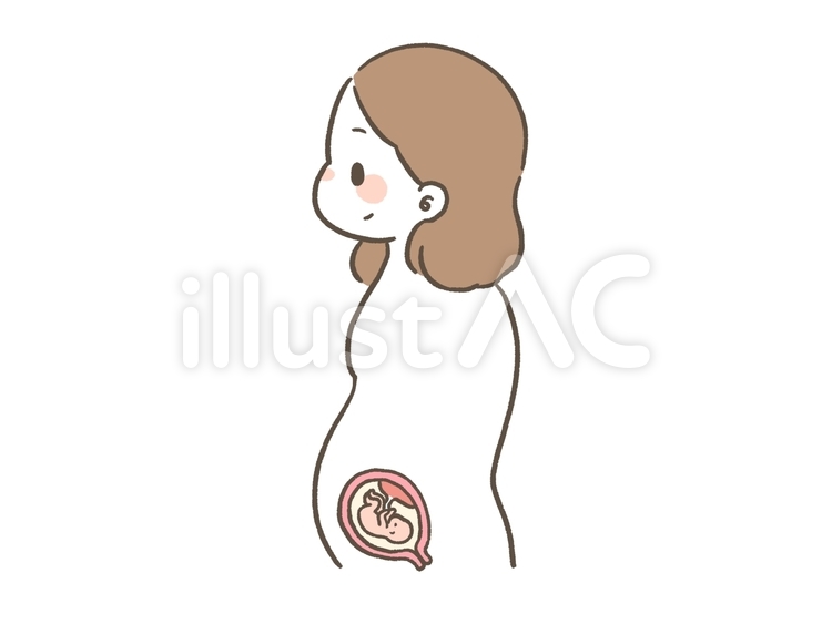 妊娠をしている女性 妊娠,妊婦,女性のイラスト素材