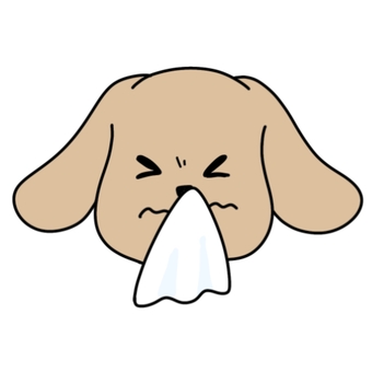 鼻をかむ犬 鼻をかむ犬 風邪,冬,防寒,予防,対策,乾燥,ウイルス,流行,学級閉鎖,病院のイラスト素材