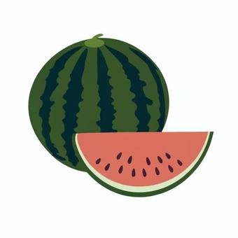 スイカ 小学校,中学校,高校,教材,授業,社会,スイカ,果物,食べ物,夏の果物のイラスト素材