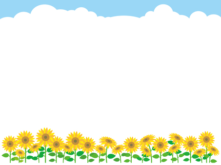 Sunflowers and cumulonimbus clouds, sunflower, cloud cover, cloud, JPG, PNG and AI