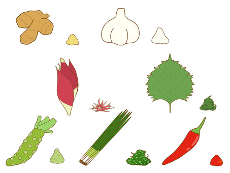 薬味のお野菜アイコンセット 野菜,薬味,セット,しょうが,にんにく,みょうが,大葉,しそ,わさび,ねぎのイラスト素材