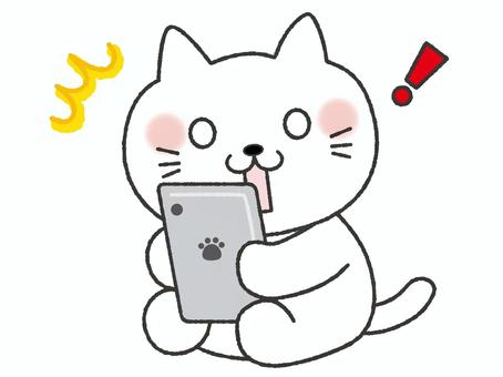 パニックになったスマホ猫 猫,スマホ,かわいい,パニック,トラブル,ショック,焦る,絶望,sns,インターネットのイラスト素材