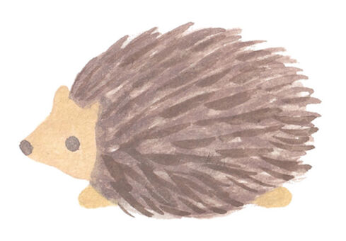 Hedgehog, hedgehog, new year's picture, animal, JPG and PNG