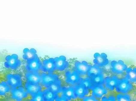 Illustration, nemophila, li li tang grass, flower, JPG and PNG