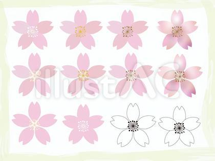 桜の花色々セット