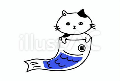 猫 鯉のぼり