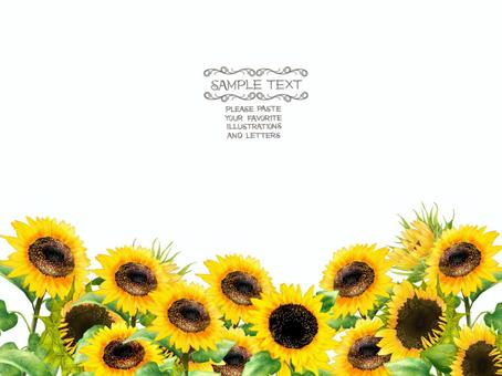 Sunflower frame postcard, JPG and PNG Sunflower frame postcard, , JPG and PNG
