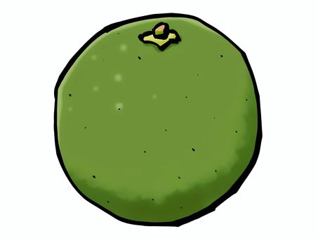 かぼすのイラスト（筆タッチ・秋の果物） かぼす,カボス,果物,筆,秋,フルーツ,収穫,農業,農家,農作物のイラスト素材