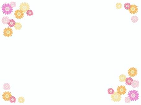 ガーベラ E ガーベラ,シンプル,カラフル,花,イエロー,レッド,ピンク,オレンジのイラスト素材